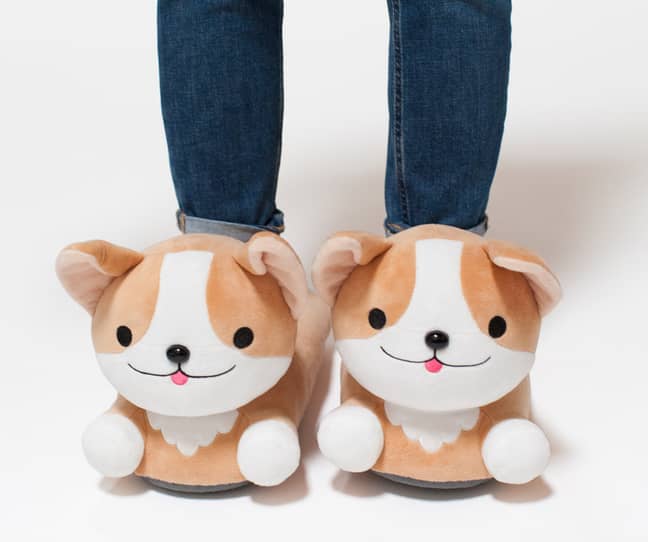 There is also a corgi pair up for grabs from Firebox which has USB heat technology too. (Credit: Firebox)