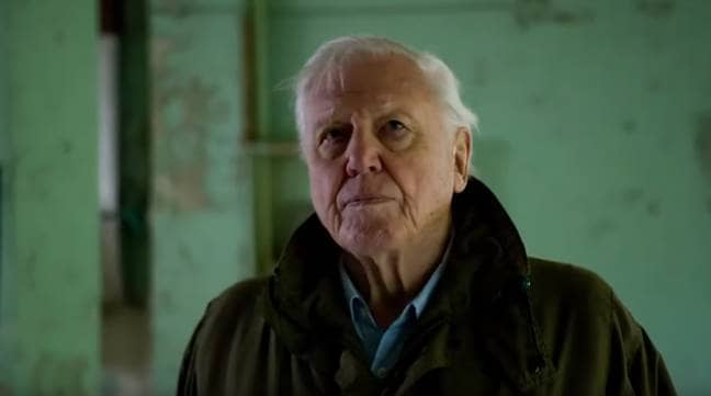 A new David Attenborough film will focus on the life of the legend himself (Credit: Altitude Films)