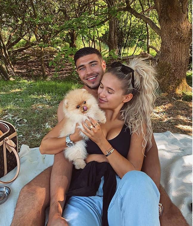 Molly explained the couple had wanted to get a dog for a long time (Credit: Tommy Fury/Instagram)