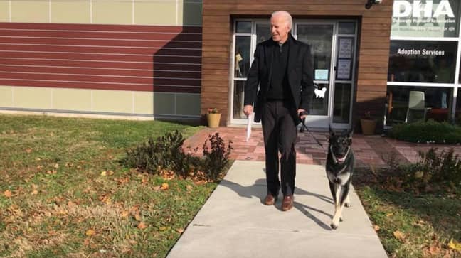 Biden has two German Shepherds - one of which, a rescue pup (Credit: Twitter @First_Dogs_USA )