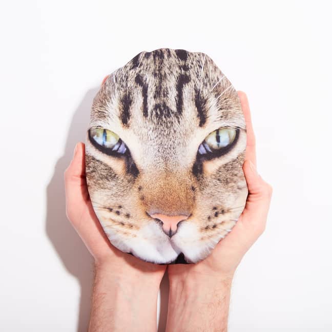 If you're more of a cat person, you could choose your cat's face instead. (Credit: Firebox)