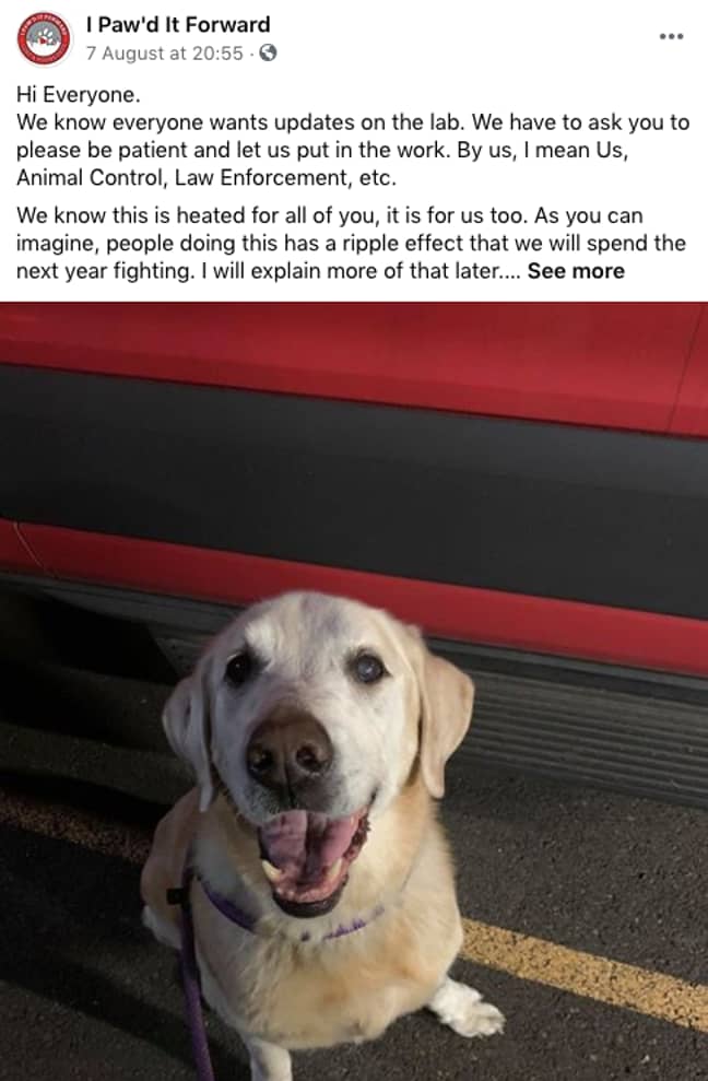 The organisation posted an image of the beautiful pooch (Credit: I Paw'd It Forward/Facebook)