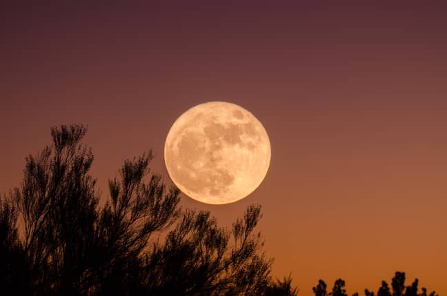 The link between poor sleep and full moons has been debated for centuries (credit: Unsplash)