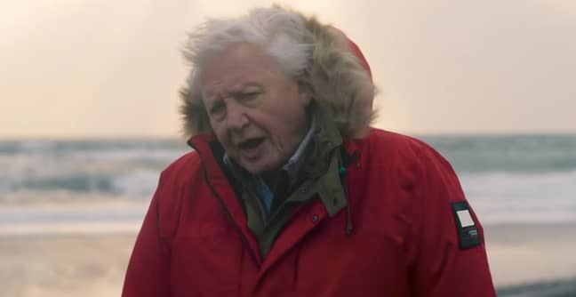 Sir David Attenborough said storms were getting worse due to climate change (Credit: BBC)