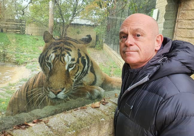Ross Kemp will be meeting the UK's answers to Joe Exotic (Credit: ITV)
