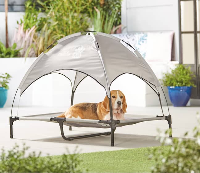 Dogs can now keep cool thanks to Aldi (Credit: Aldi)