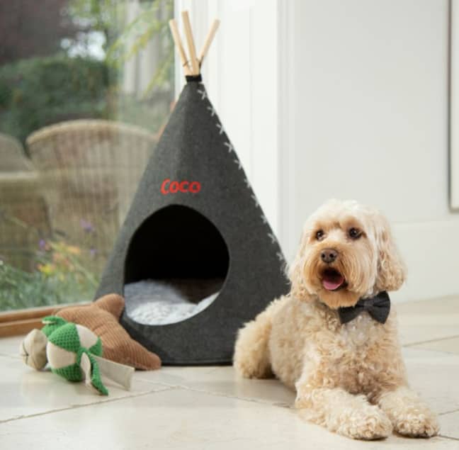 My 1st Years has some more high end pet teepees (Credit: My 1st Years)