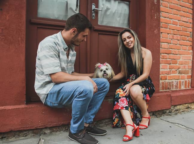 43 per cent of couples said they become more attracted to their partners since getting a dog (Credit: Pexels)