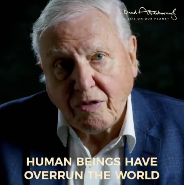 David Attenborough says the film is his 'witness statement' (Credit: Altitude Films)