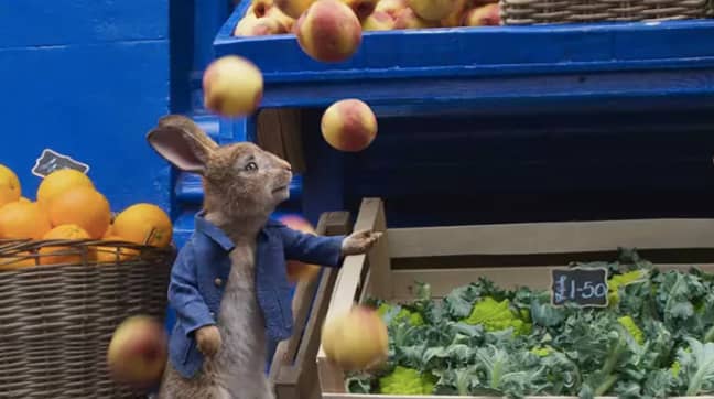The 'Peter Rabbit' sequel was postponed due to the virus (Credit: Sony)