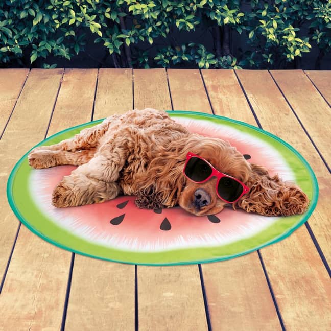 You can also get fruit-shaped mats for slightly cheaper (Credit: B&amp;M)