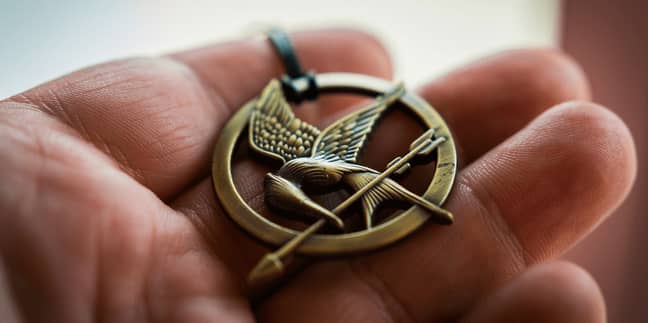 Many said it resembled the mockingjay from The Hunger Games (Credit: Lionsgate)