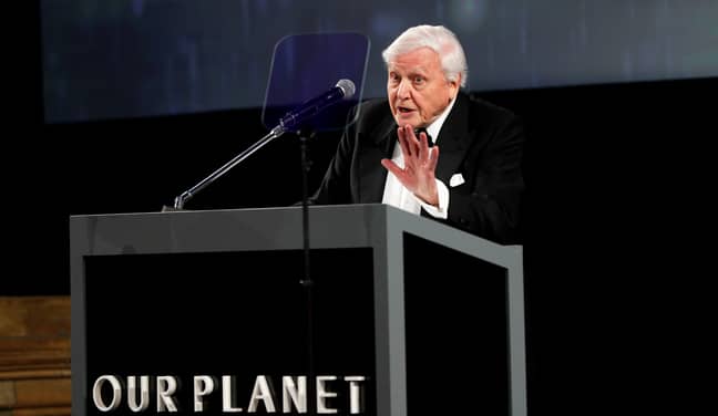 David Attenborough passionately campaigns about the state of the planet  Credit: PA images