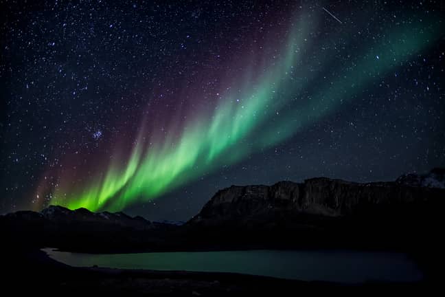 Northern lights pictured in Greenland (Credit: Pexels)