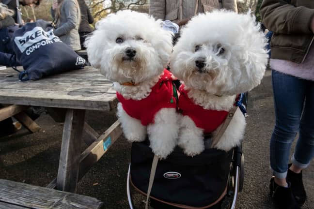 They met in Battersea Park in their festive knits (Credit: Save The Children)