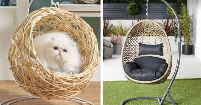 The pet egg chair means even cats can now get on on the interior trend (Credit: Aldi)