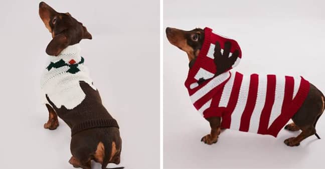 The dog sweaters are £12 apiece. (Credit: Missguided)
