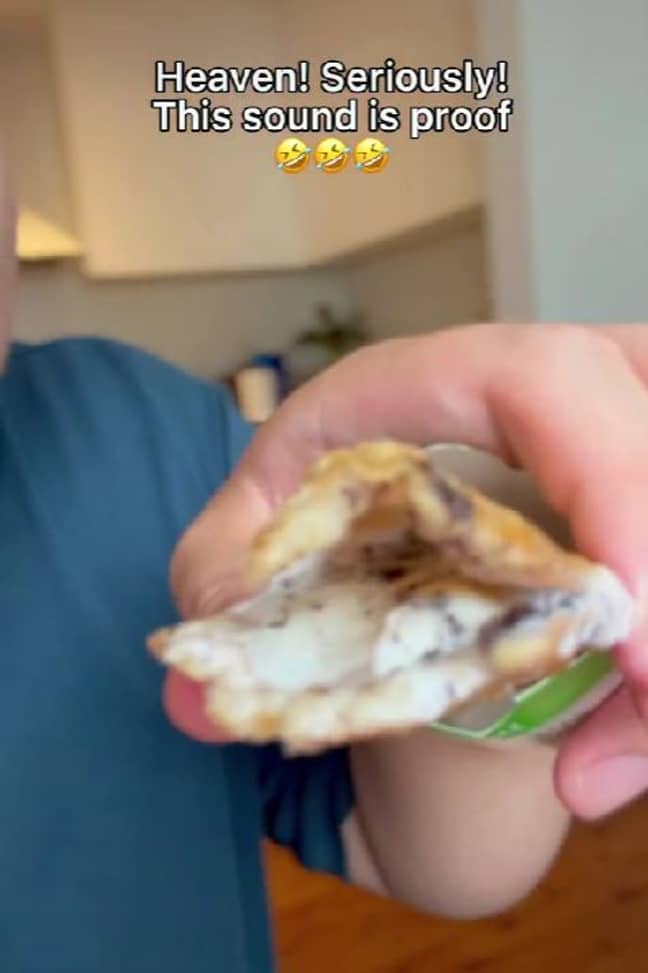You put the ice cream into the piping hot apple pie (Credit: TikTok/AdrianWidjy)