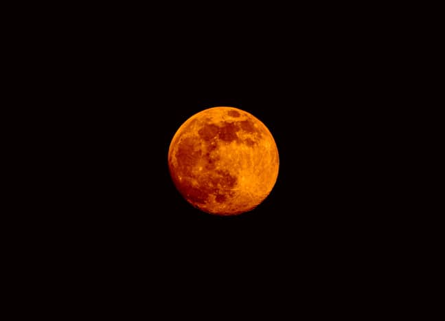 There's a super flower blood moon taking place today (Credit: Pexels)