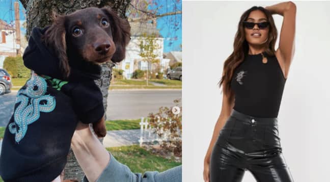 There's a drag print combo for you and your pooches too (Credit: Missguided) 