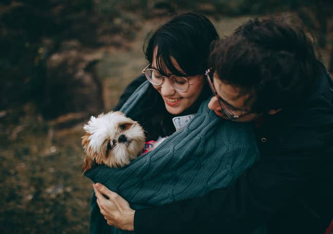 60 per cent of couples say they've been stronger since getting a dog. (Credit: Pexels)