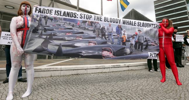 PETA protesting against whaling back in 2014 (Credit: PA)