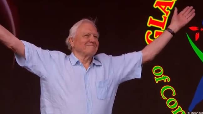 Sir David Attenborough even made a guest appearance at Glastonbury Credit: BBC Earth