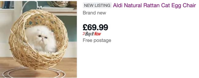 The Aldi cat-sized egg chair is being flogged on eBay for double the price (Credit: eBay)