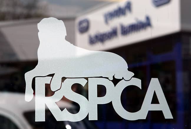 Joshua was prosecuted by the RSPCA (Credit: PA Images)