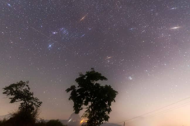 The dazzling display of stars will be seen on Sunday night into Monday morning (Credit: Shutterstock)