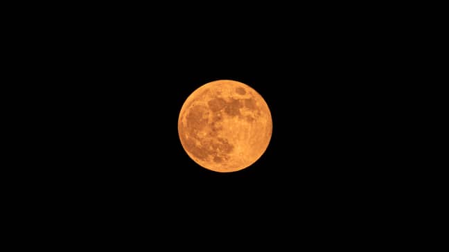 The strawberry supermoon will be visible tonight (Credit: Shutterstock)