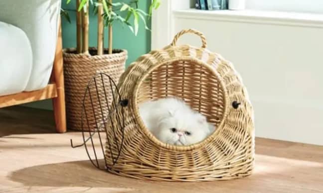 Alongside the egg chair, a cat igloo is also available (Credit: Aldi)