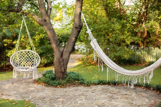 Our garden party game just got a boost (Credit: Shutterstock)