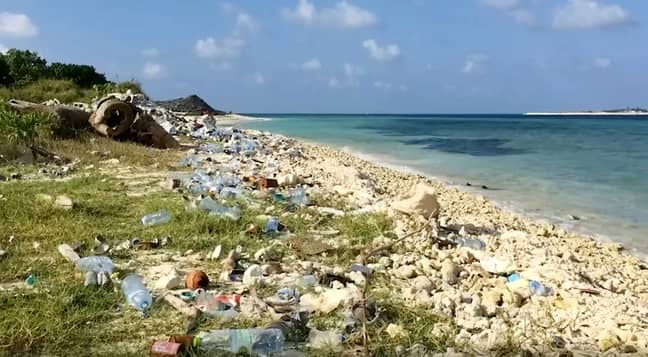 The Maldives' oceans are now home to the most microplastics in the world (Credit: SWNS) 
