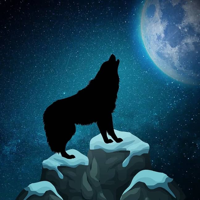 The Full Wolf Moon will bring forward change and evolution (Credit: Pixabay)