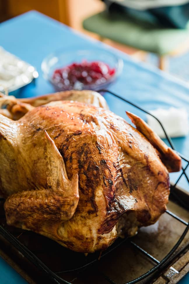 Turkey or chicken skin can be too salty or fatty for pets to digest (Credit: Unsplash)