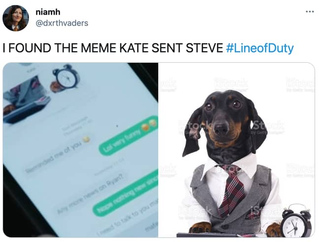 Viewers found the meme Kate sent to Steve and we're obsessed (Credit: Twitter)