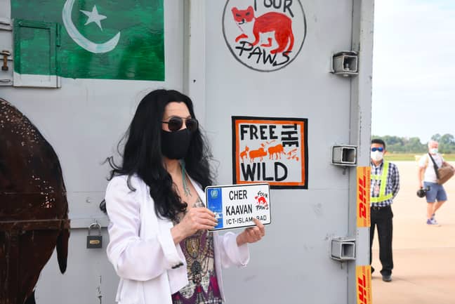 Cher had been campaigning for Kaavan's release (Credit: PA)