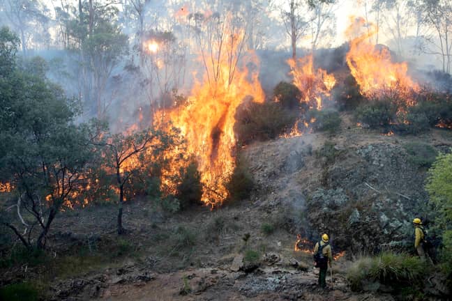 The bushfires have been raging since September last year (Credit: PA)