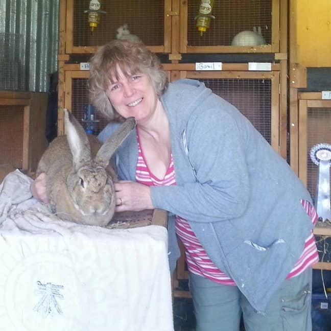 Heartbroken pet owner Donna Pilgrim revealed her rabbit Archie died after being scared of fireworks (Credit: SWNS)