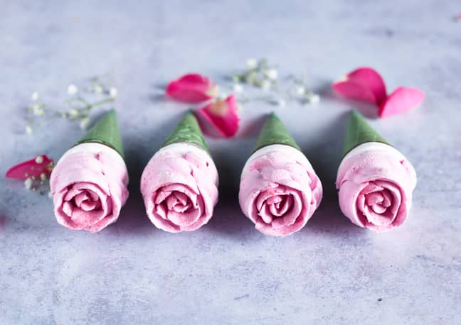 With their delicately shaped petals, the adorable cones are seriously pretty - and photogenic too (Credit: Co-op)
