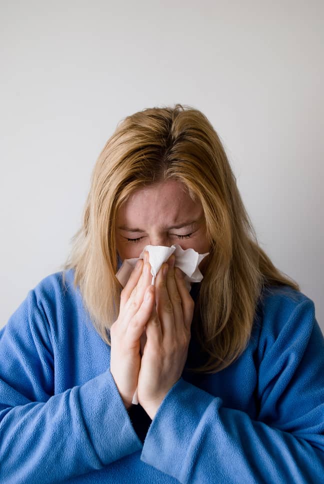 Hay fever can cause runny noses, sneezing and sore eyes (Credit: Pexels)