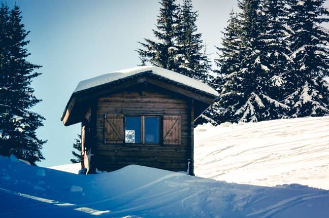 As soon as they meet, couples move into cosy log cabins together (Credit: Unsplash)