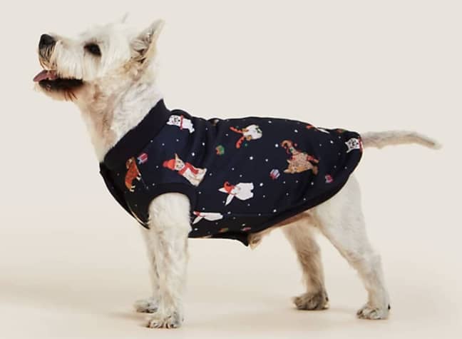 The sets are adorable, with a cute printed jumper for your pooch (Credit: M&amp;S)