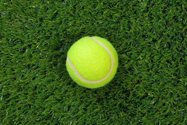 People are now debating the colour of a tennis ball. (Credit: Alamy)