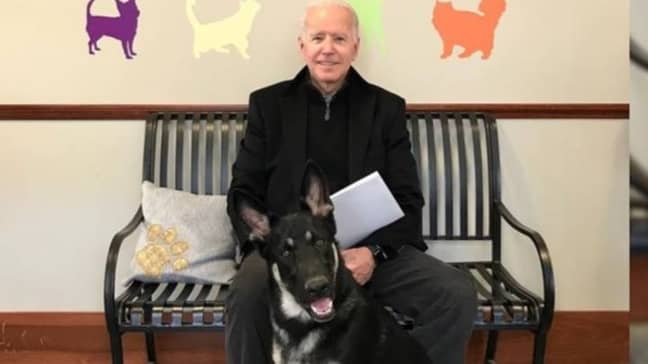 Joe Biden and his wife Jill have two dogs (Credit: Instagram)