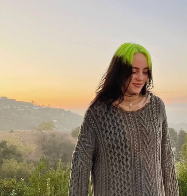 Billie Eilish's neon green and black are a fresh take on the hair trend that's taking over social media (Instagram)