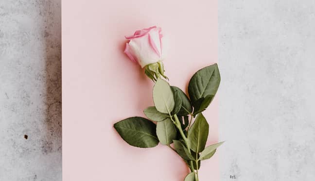Women are taught to expect roses and cards for Valentine's Day (Credit: Unsplash)