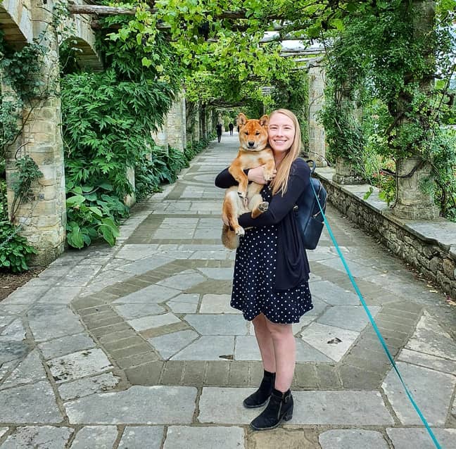 Anna and Watson out for walkies in the park (Credit: @shiba_watson)