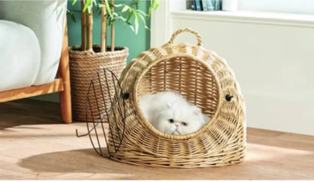 The cat egg chair is set to be popular (Credit: Aldi)